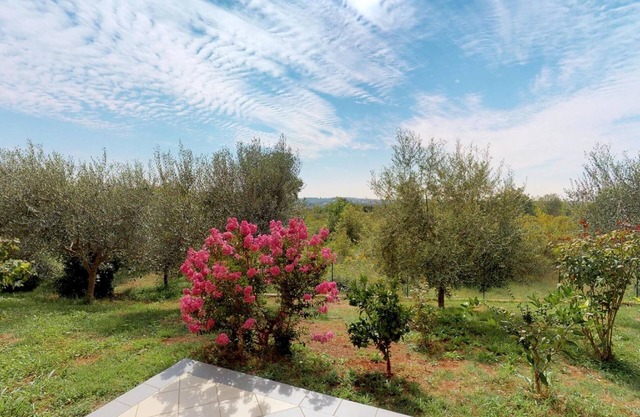 Two bedroom apartment with terrace Vilanija, Umag (A-17240-a)