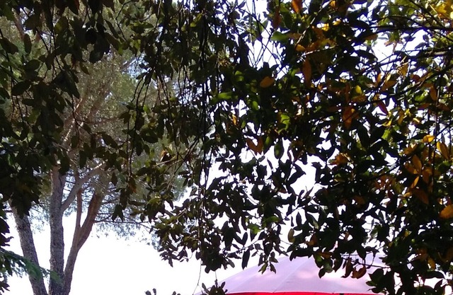 two farmhouses and swimming pool sleeps 6-8