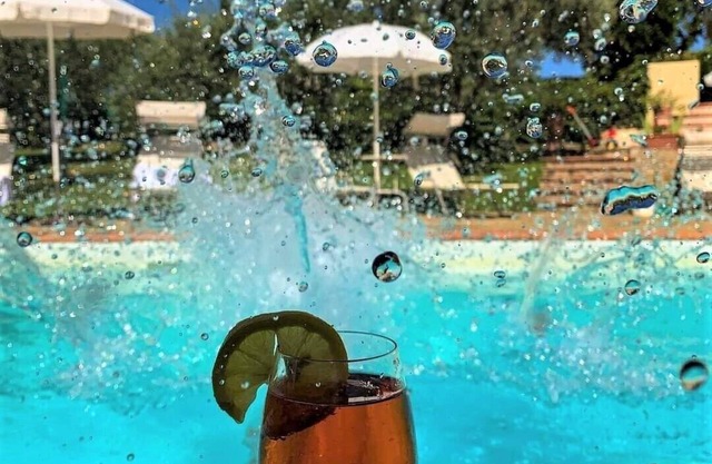 TWO-ROOM APARTMENT WITH POOL AND PRIVATE GARDEN: The Compagnia del Chianti