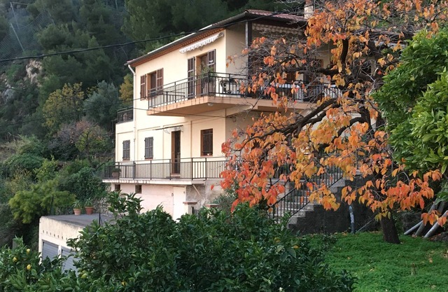 Two spacious rooms in ground garden villa