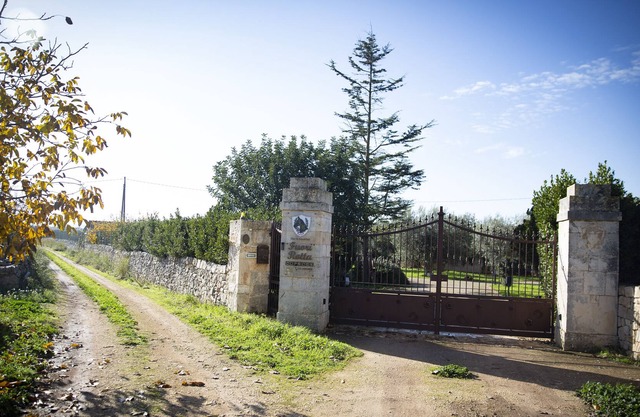 Typical Apulian Property with Swimming Pool