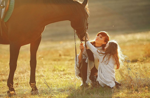 UHE - Unforgettable Equestrian Adventure in the Blue Ridge Mountains