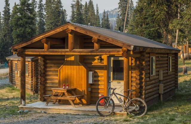 Unbelievable Discovery! Three Amazing, Spotless Wooden Cabins!