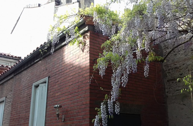 Une Véritable Toulousaine Spacieuse Avec Jardin Dans le Centre de Toulouse!
