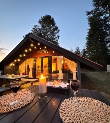 Unique forest cabin by lake near Legoland, ForestCabinDK