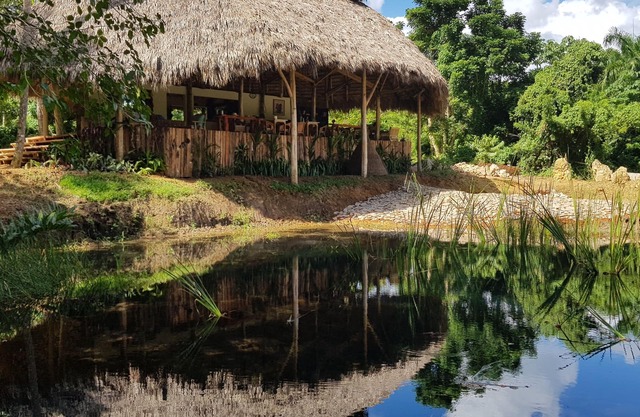 Unique property in a lush jungle with river and steps away from the beach.