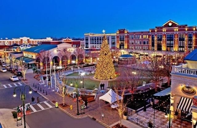 Upscale 4BR Near The Greene | Exclusive Location