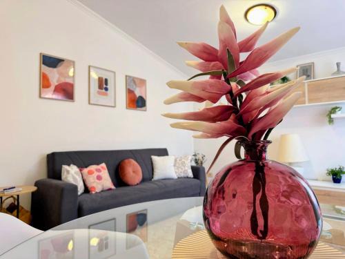 Urania heart of Rome near Vaticano