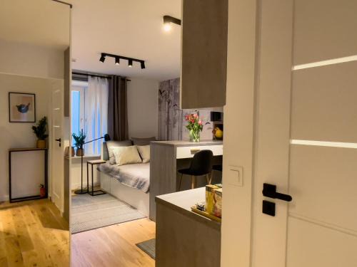 URBAN APARTMENTS Dluga 40 No 11, FREE PUBLIC PARKING, Self CHECK-IN