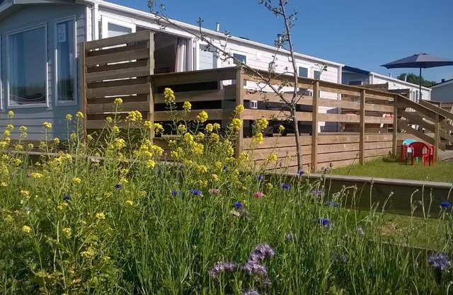 Vakantie Chalet Makkum