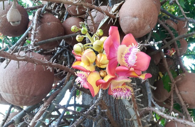 Very comfortable and spacious villa with pool near Hua-Hin, Thailand