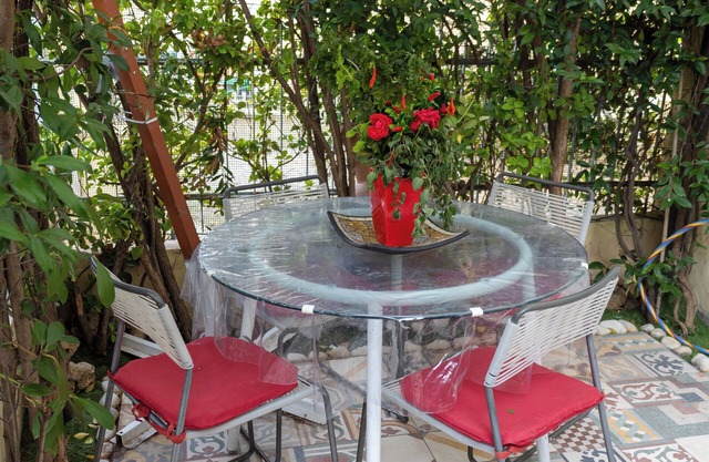 Viareggio Sea & Garden "A"