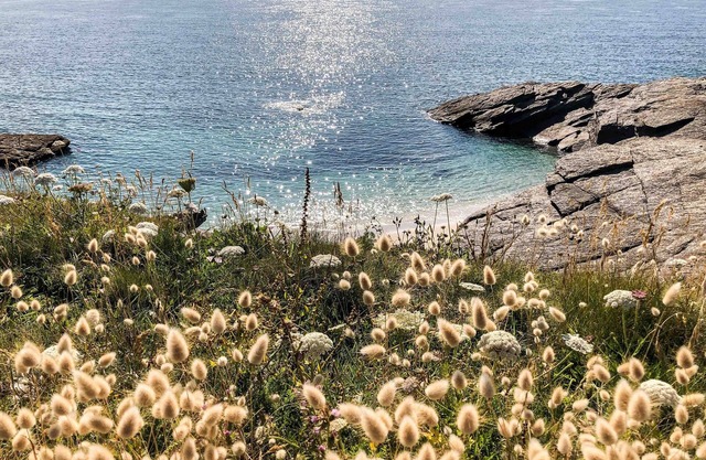 Villa du petit phare - sea view - 10people