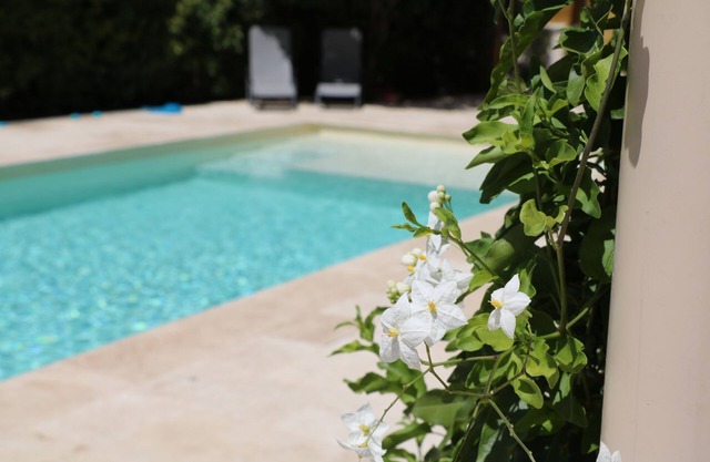 Villa in the heart of the vaunage with swimming pool, garden and heated jacuzzi