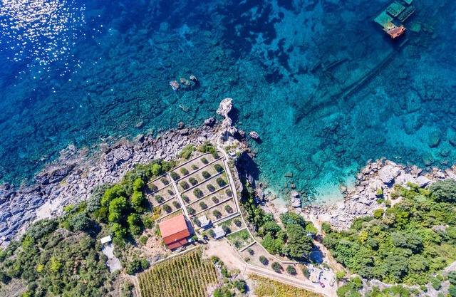 Villa Sea Edge - Three Bedroom Villa with Sea View