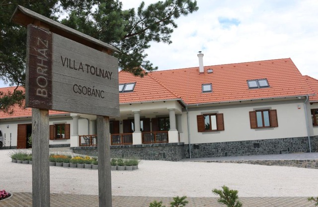 Villa Tolnay Vendégház