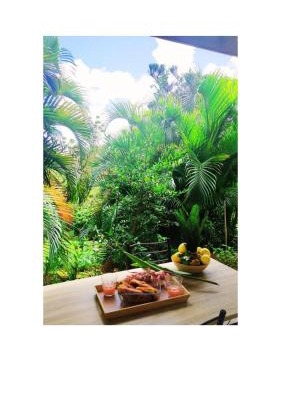 Villa tropicale charmant T2 dans un cadre verdoyant