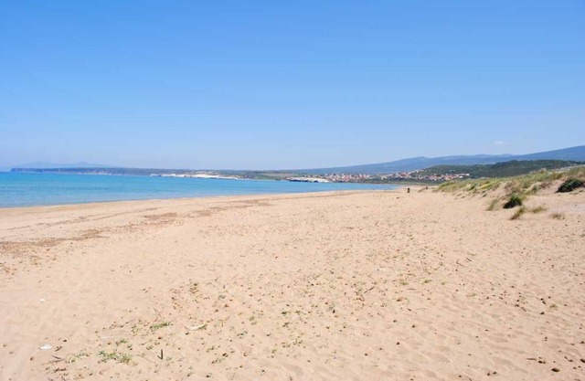 Villa under pine trees by the sea
