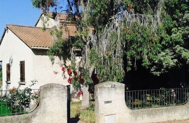 Villa with swimming pool - 10 people - Aléria - Haute corse