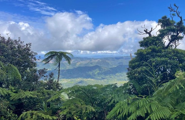 Village Stay Fiji at Navai Village Fiji