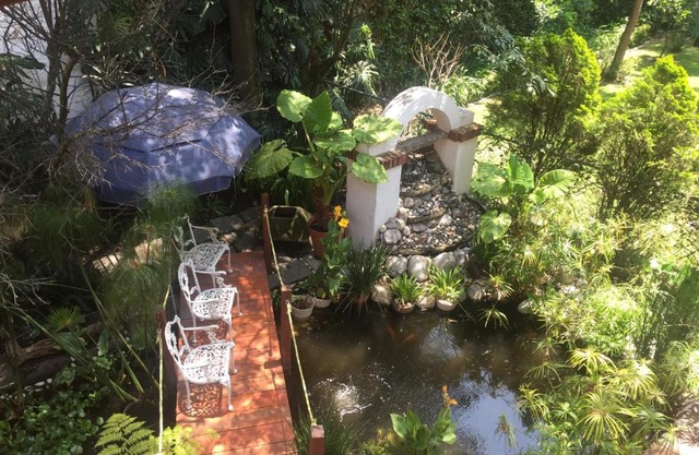 Villas Sol y Luna Coyoacan