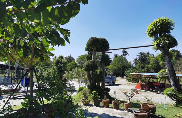 Viman Resort