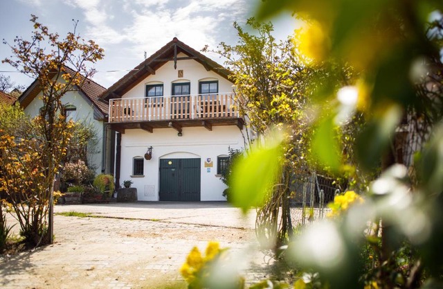 Vinařský apartmán Špalek