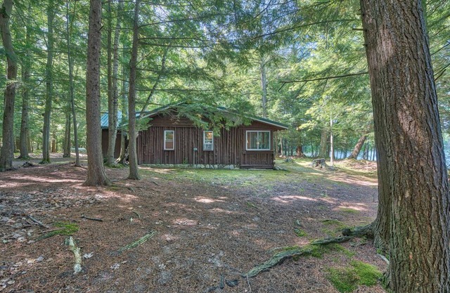 Vincent Lake Cabin #3