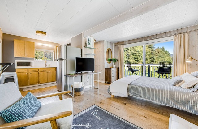 Vineyard view studio by Russian River w/private balcony, patio, grill, & WiFi