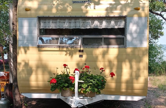 Vintage Camper Trailer - lakeside site 1 hour from Minneapolis St. Paul Glamping