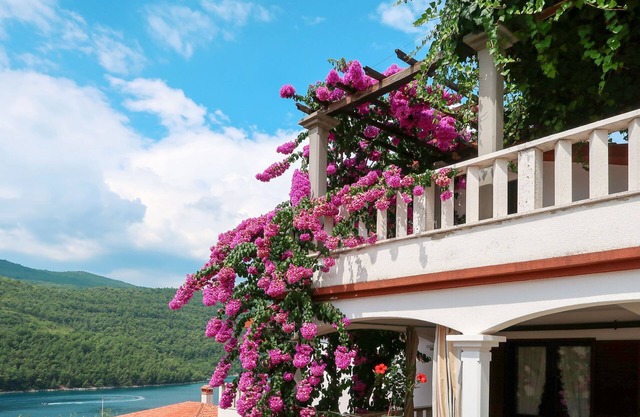 Violetta by Interhome