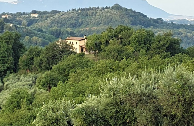 Vrbo Property