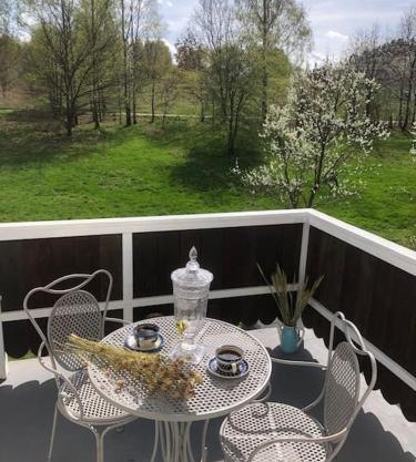 W Karkonoszach na Chacie #SAUNA # BILARD #LEŚNY PARK