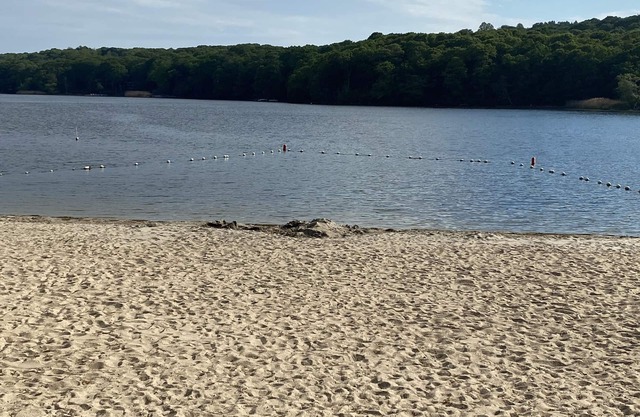 Walk to private community beach on Narrow River