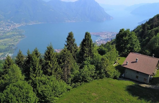 Walking's House, the chalet nestled in the woods