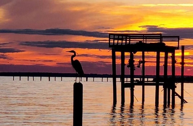 Waterfront Home W/Private, Soft Sandy Beach & 300' Dock