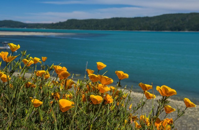 Waterfront Hood Canal Farmhouse - Oysters, Kayak, & Paddleboards!