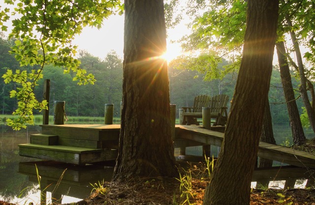 Waterfront w/Kayaks Firepit 100Mbs Inet EV Chrgr Near Assateague, Berlin, OC!