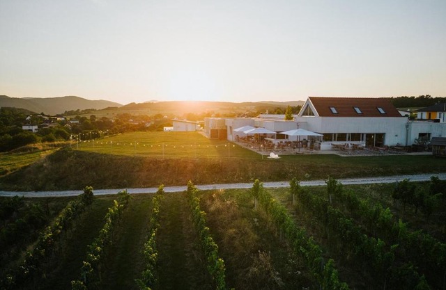 WEINBLICK & WEINGUT Grafinger