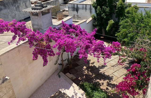 Welcomely - Celi Blu Apartments