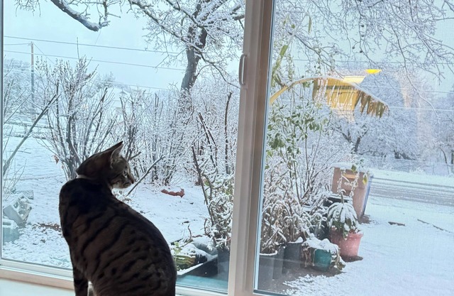 Welcoming house with AC in charming Tehachapi