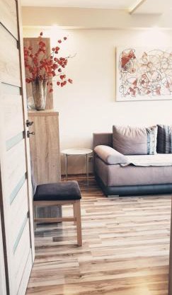 Wici 2 Apartments Teofilow Wodny Raj