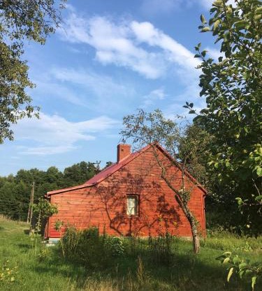 Wiejski domek w środku lasu Osłowo Mielnik