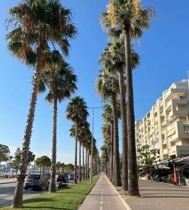 Wiola's Apartments Vlora