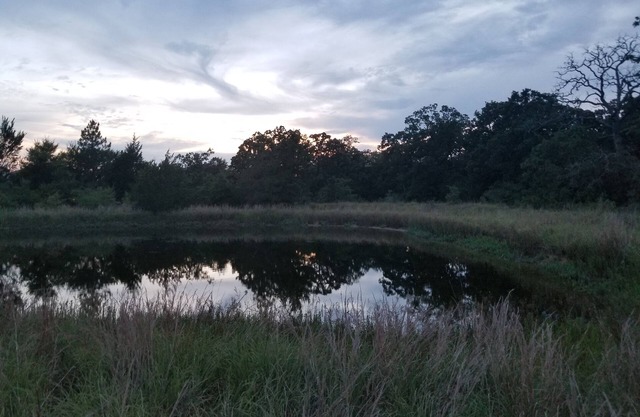 Wonderful pondview cottage with AC in College Station