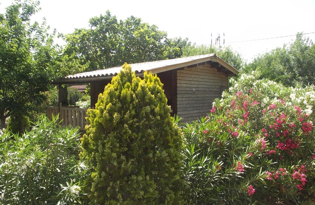 Wooden chalet with large terrace