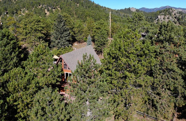 Woodhaven Evergreen Retreat