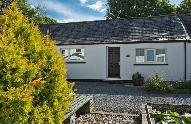 Wrens Nest, Newcastle Emlyn