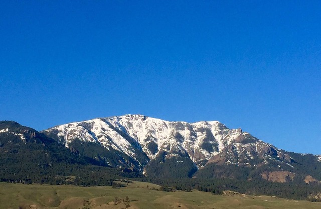 Yellowstone Big Rock Inn