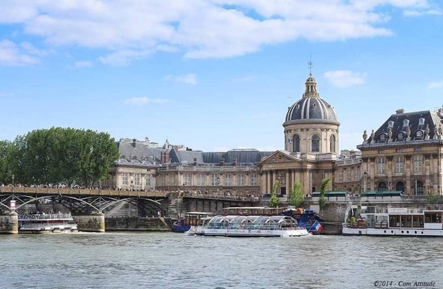 Your Charming Apartment in Paris near St Germain & Louvre